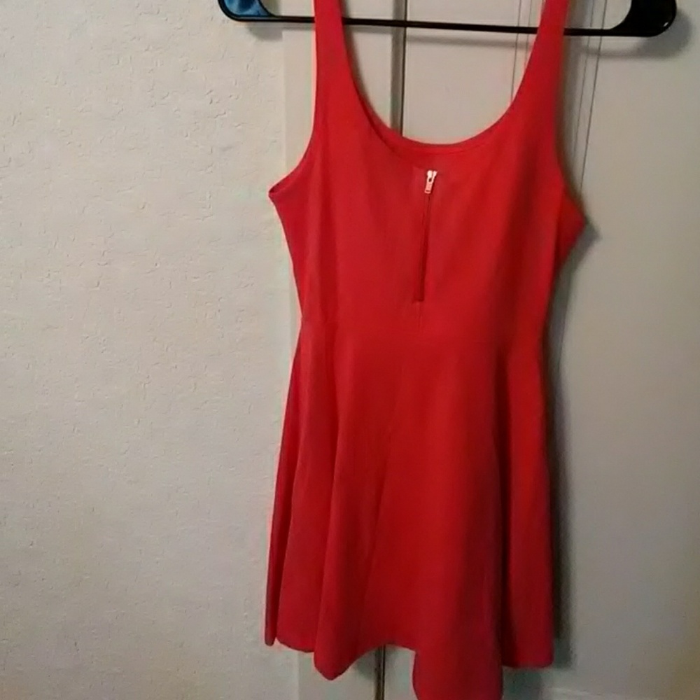 Express Pink Dress